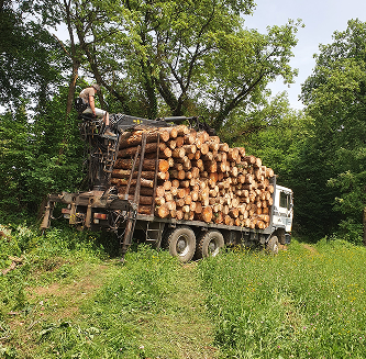 div(4)img rgforestal