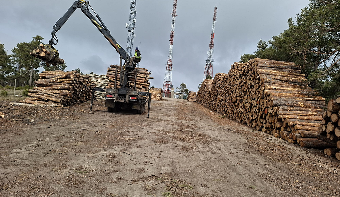 div(5)img rgforestal