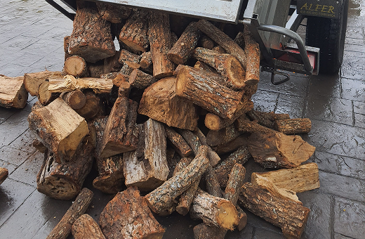 image(10) img rgforestal