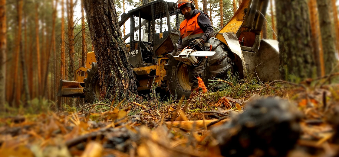 image(13) img rgforestal